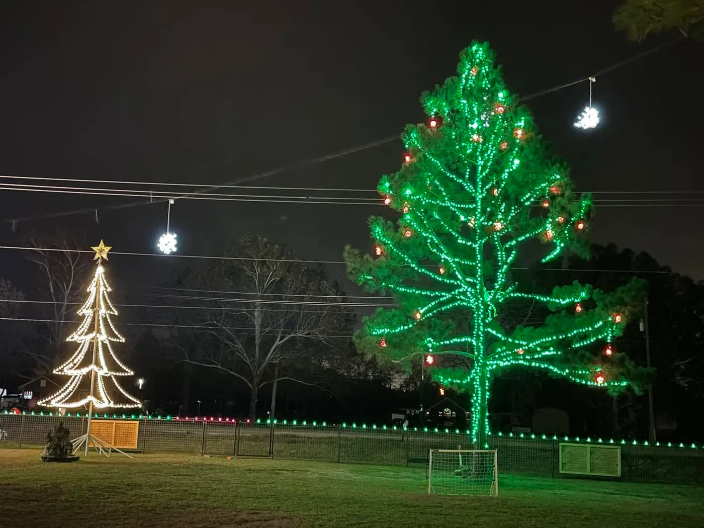 Palm tree and artificial tree Christmas lighting