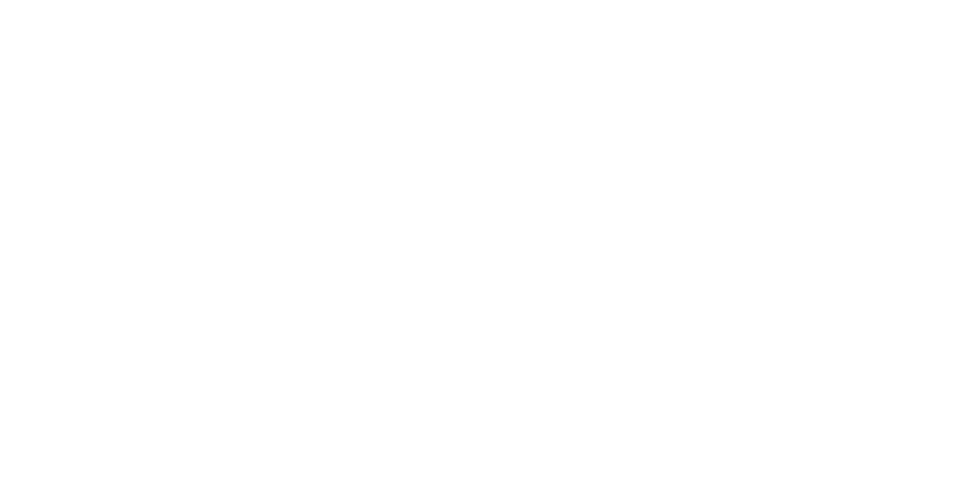 LeagueCityChristmasLights.com logo